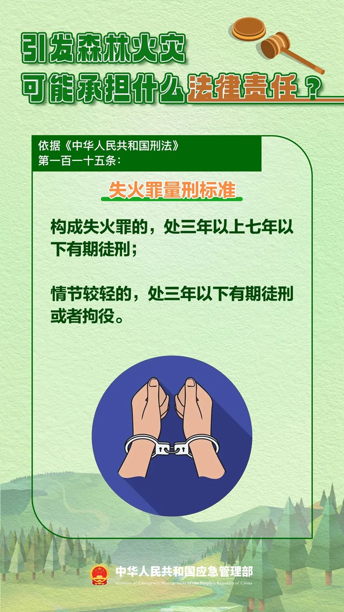 森林圖片5.jpg 森林圖片5.jpg